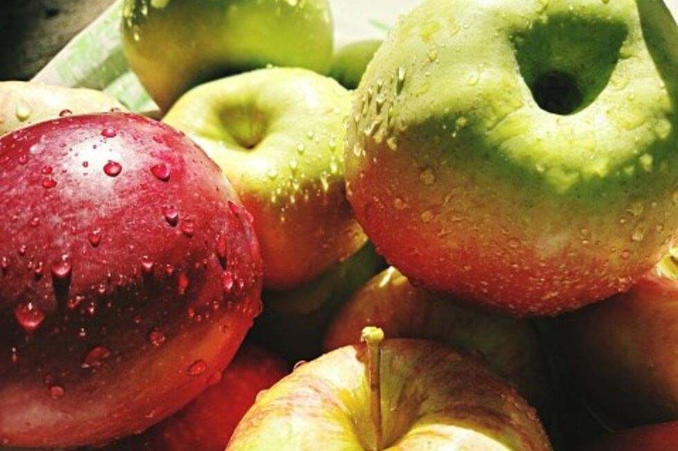 É preciso cuidado quando se oferece maças a crianças pequenas 