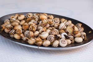 18 sítios para comer caracóis em Lisboa e no Porto