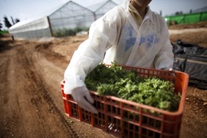 Consumo de drogas irá reduzir na Europa mas aumentar no resto do mundo