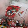 A vitória do Benfica minuto a minuto 