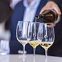 Alvarinho Wine Fest volta a Lisboa para a 3.ª edição 