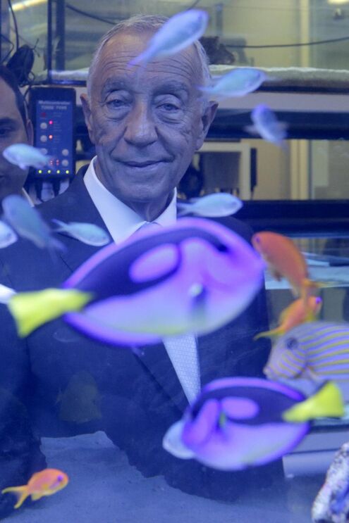 Marcelo