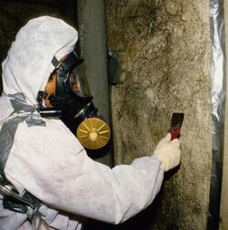 Amianto está em muitos mais locais que escolas. A sua remoção decorre 'a passo de caracol' 