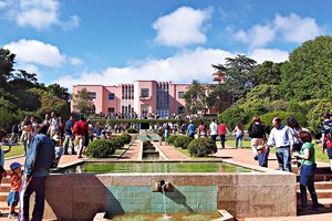 Nunca mais é Sábado? Festa do Outono em Serralves e mais sugestões para o fim-de-semana