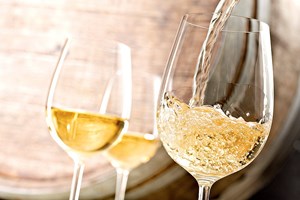 Museus e provas de Alvarinho grátis no Dia Mundial do Turismo