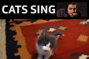 19391628_1432777873517490_8224757750731636736_n.mp4