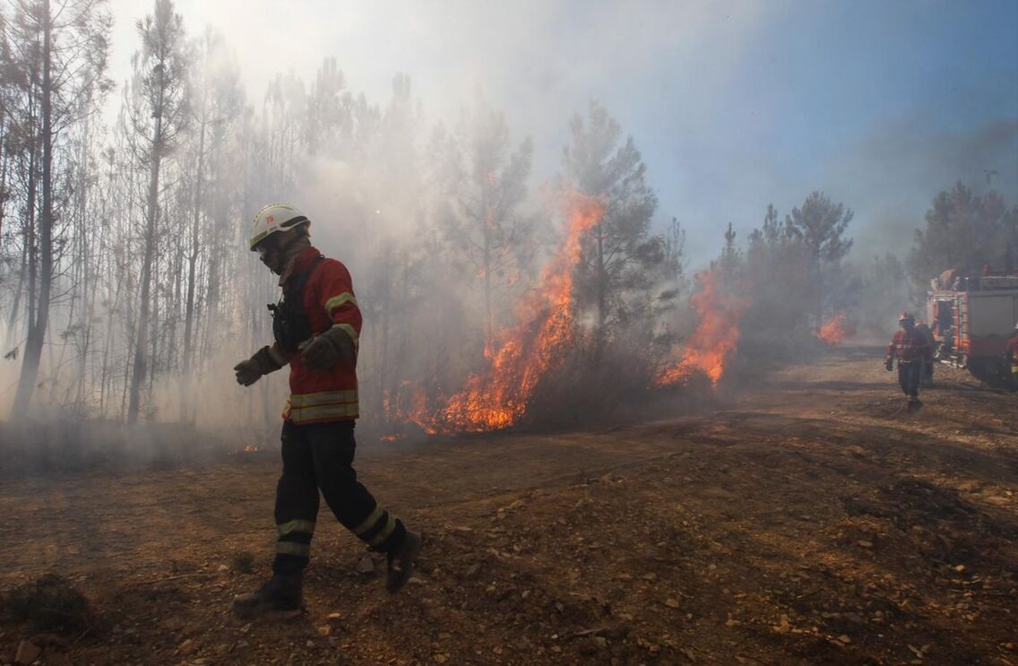 Incêndio em Mação