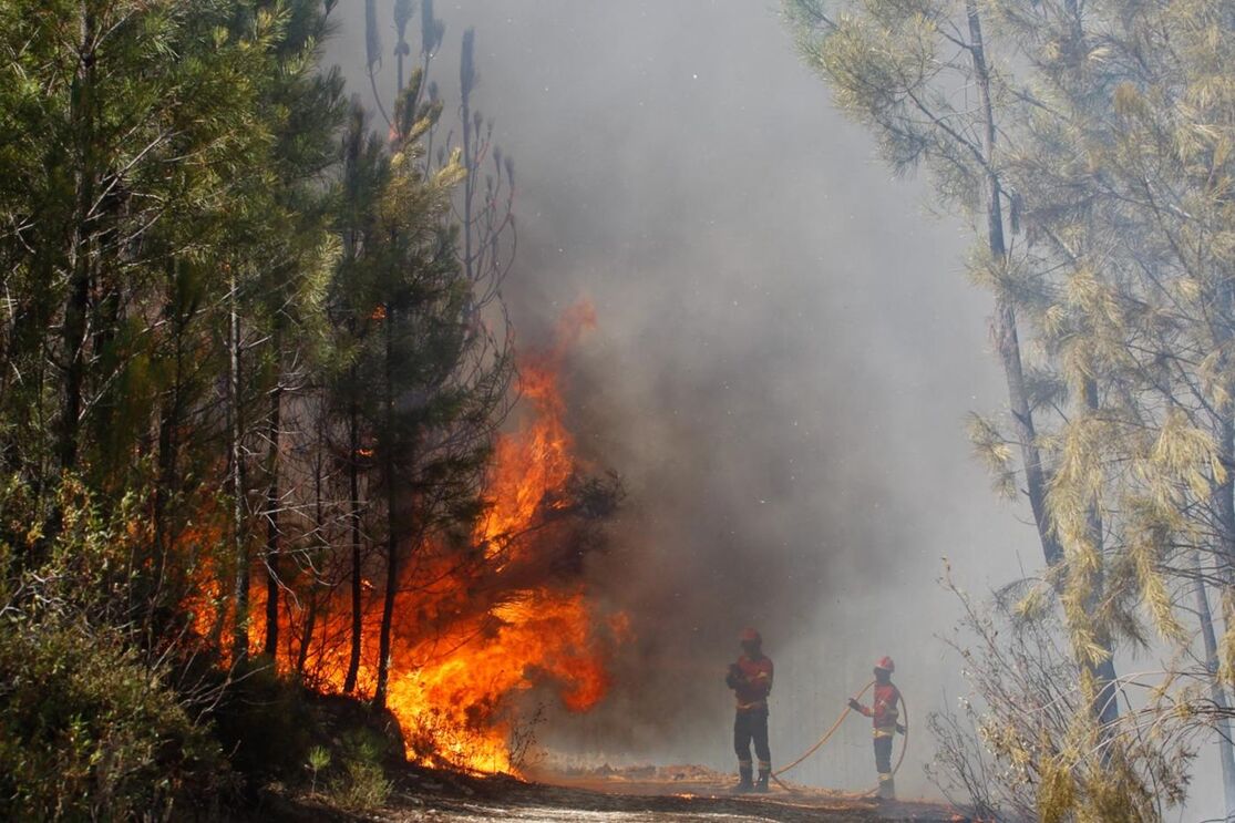 Incêndio em Mação