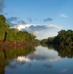 Flotilha inicia viagem do Equador ao Brasil para denunciar exploração florestal