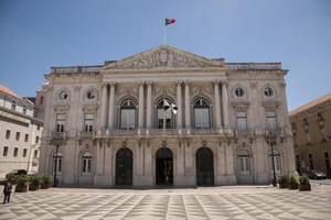 Eleita a nova provedora dos Animais de Lisboa 