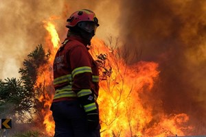 Detido homem suspeito de atear fogos em Miranda do Corvo