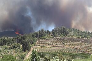incendio_reboredo.MP4