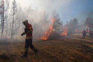 Incêndio em Mação