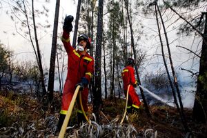 Incêndio em Mação