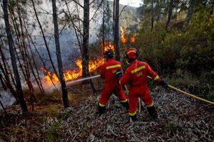 Incêndio em Mação