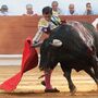 Junta da Azambuja não vai contratar artistas anti-touradas