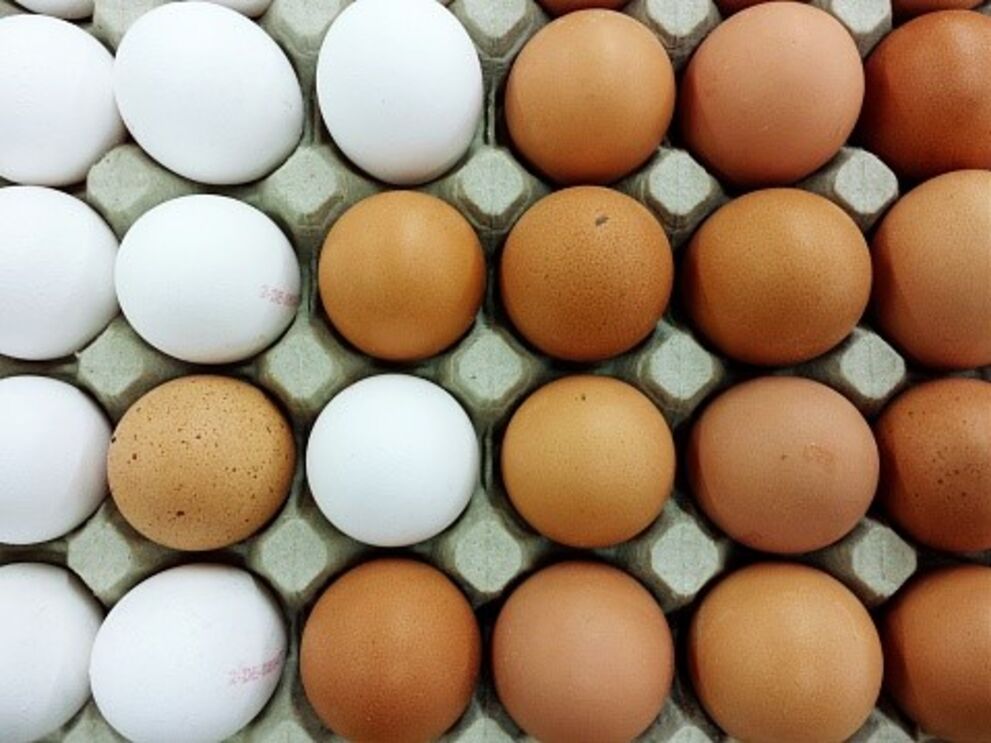 ovos