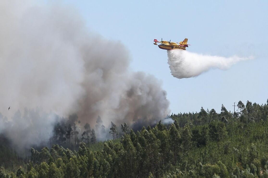 Incêndios em Abrantes