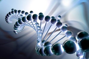 Genealogia genética permite resolver homicídio cometido em 1968