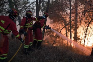 Fogo de Louriçal do Campo foi dominado