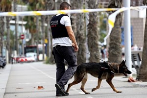 Abdelbaki Es Satty: possível líder da célula terrorista que planeou ataques