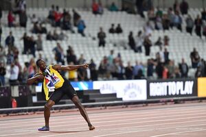 Bolt