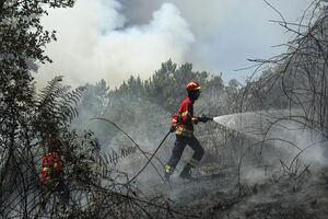 Incêndios em Abrantes
