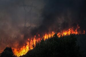 Incêndios em Abrantes