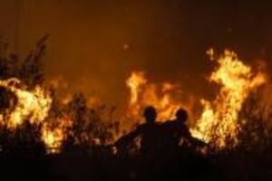 Incêndios Mação