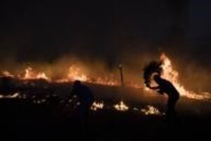 Incêndios Mação