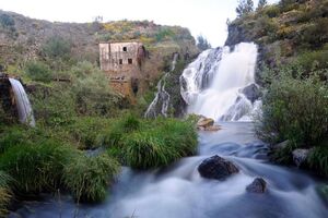 TCP - Escolho o Centro de Portugal -  Homenagem PG 2017.mp4