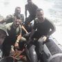Fuzileiros salvam golfinho em Setúbal