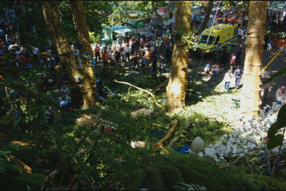 Queda de árvore Funchal