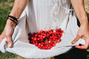 Produção de cereja caiu para metade em 2023