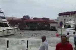 CofinaEditor_2017-09-19_08_42.06FokDu2z1lU6jpWe.mp40.jpeg