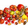 Eis os tomates preferidos dos cozinheiros