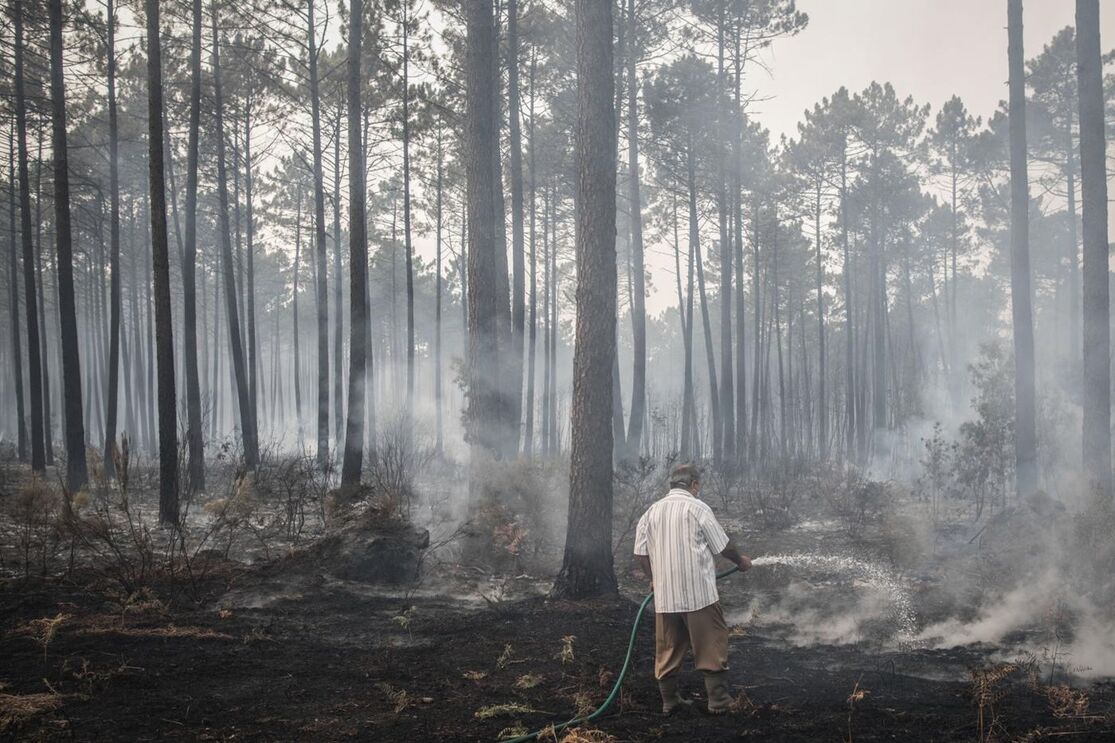 incêndios