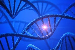 Investigadores descobriram sequência completa do cromossoma Y