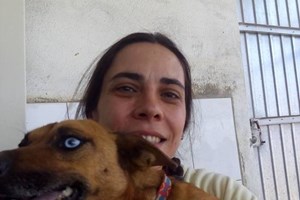 Salvaram 80 cães de abrigo ameaçado pelo fogo