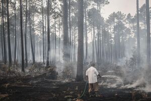 incêndios