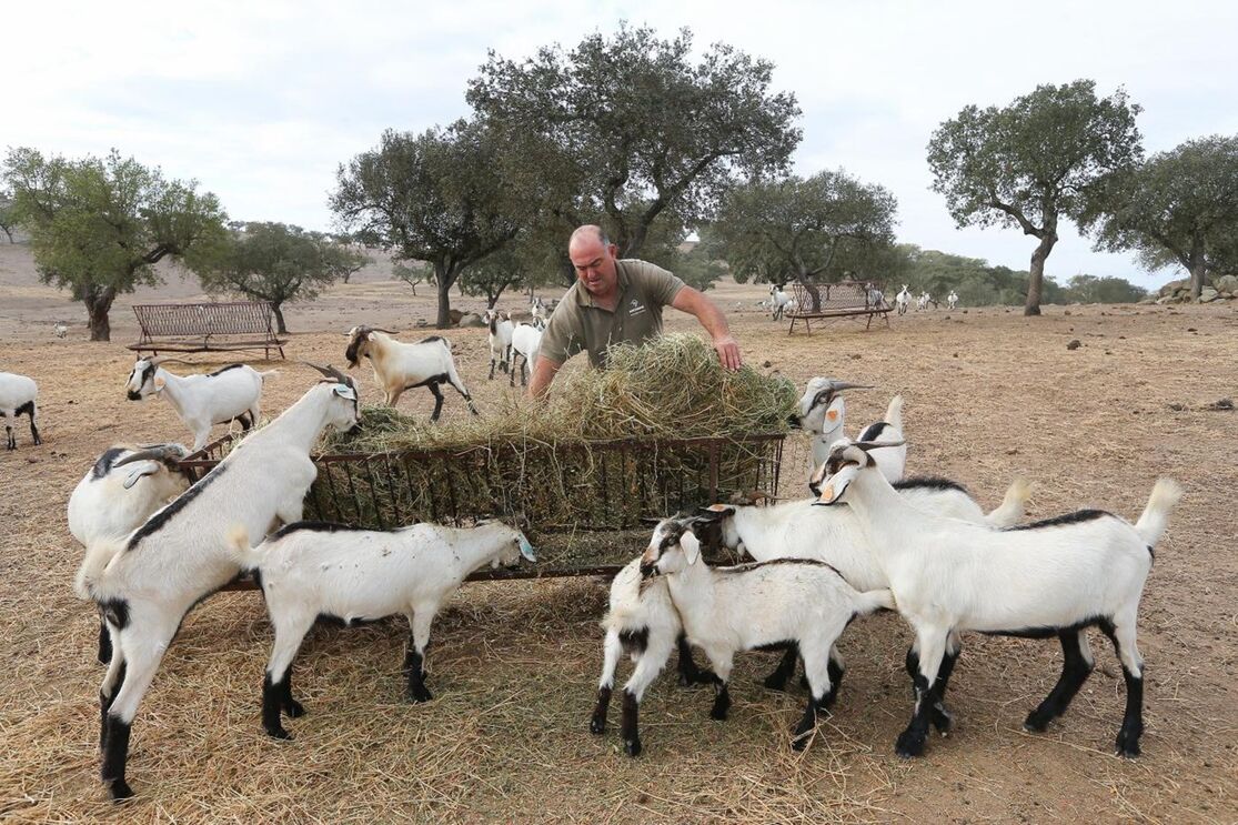 Seca no Alentejo