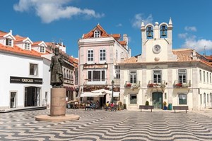 Cascais sem seguro? Cidadã espera indemnização há meses