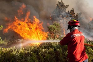 Incêndio provoca um morto em Mangualde
