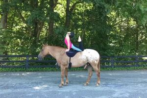 Horse Yoga Flow 5.mp4