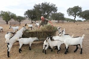 Seca no Alentejo