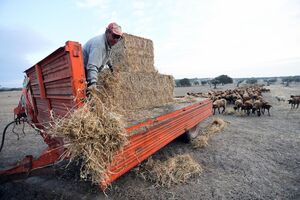 Seca no Alentejo