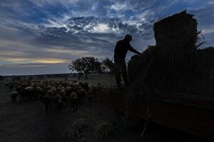 Seca no Alentejo