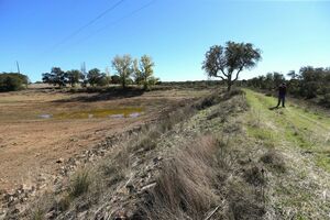 Seca no Alentejo