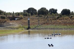 Seca no Alentejo