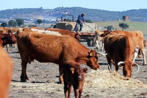 Seca no Alentejo